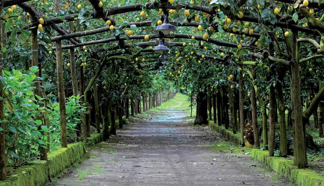 Farma Il Convento *